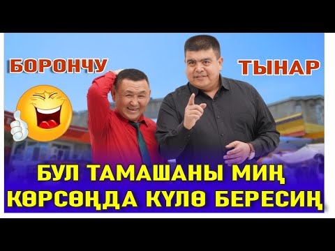 Видео: ТЫНАР & БОРОНЧУ// БУЛ ТАМАШАНЫ КАЙТА КАЙТА КӨРСӨҢ ДЕЛЕ ЖАРЫЛА БЕРЕСИҢ