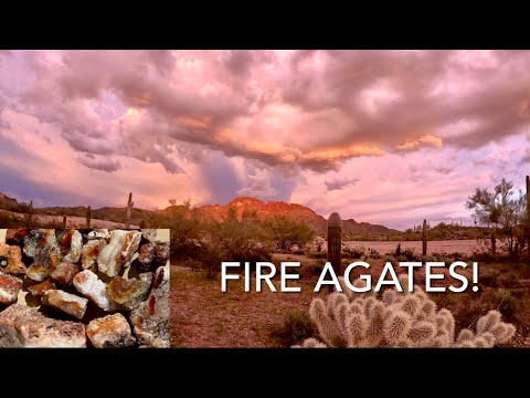Видео: В поисках сверкающих огненных агатов на горе Сэддл в Аризоне!