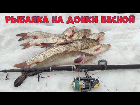Видео: РЫБАЛКА НА ДОНКИ ВЕСНОЙ!