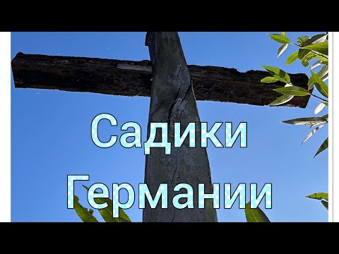 Видео: Чем же отличаются немецкие детские садики от советских!!!