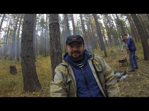 Видео: Попался с валежником в лесу.