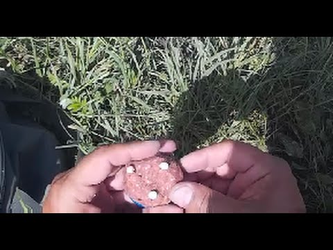 Видео: Ловля карася с берега на соску ( пробка ).