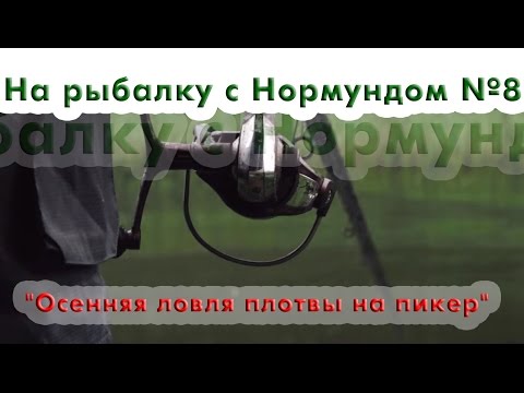 Видео: На рыбалку с Нормундом 08 : Осенняя ловля плотвы на пикер