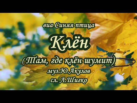 Видео: виа *Синяя птица*-Клен(Там .где клён шумит)-караоке