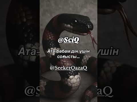 Видео: Жаннат қанжуса болды