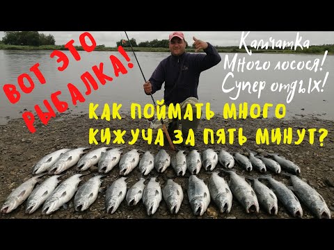 Видео: Супер рыбалка на Камчатке. Море кижуча. Кижуч. Сoho salmon. Fishing. Kamchatka.