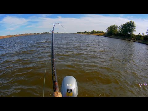 Видео: ДЖИГ НА ПАРОМНОЙ ЯМЕ