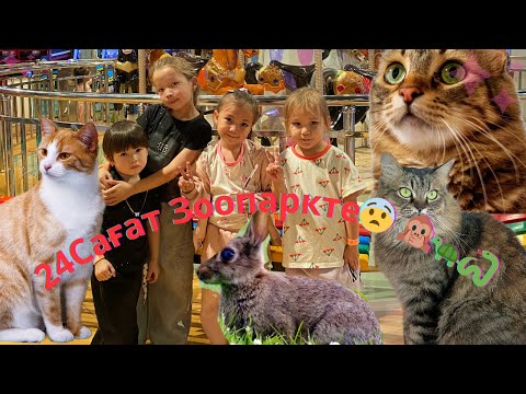 Видео: 24 Сағат Зоопаркте🍁🙊#zoopark #зоопарк #лев #тренды