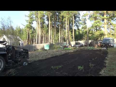 Видео: Вспашка огорода под сеном самодельным трактором