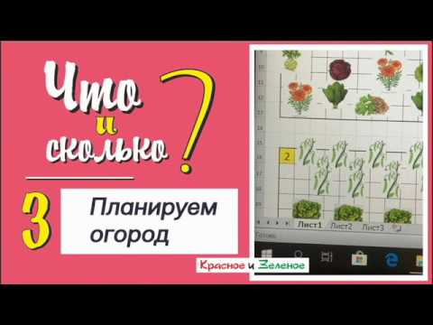 Видео: Планируем огород. Уплотненные посадки. Как избежать ошибок Часть 3