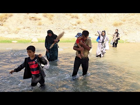 Видео: Уборка горного дома для перевода стада Али в тропический регион (прошлогодний дом)