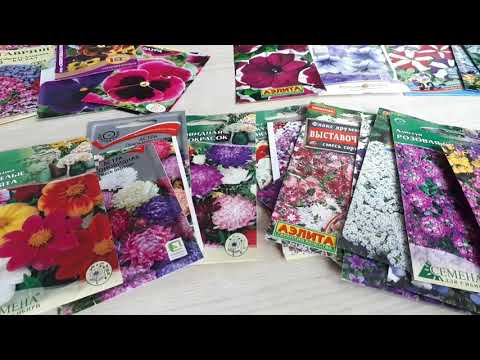 Видео: Обзор семян цветов на 2024год
