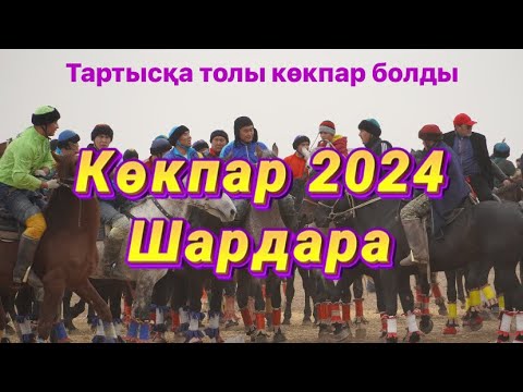 Видео: Шардара қаласы  Даулет Бақыт Дінмұхамед мырзалардың елден  бата алу  той көкпары 21 01 2024