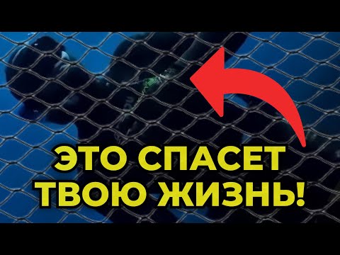 Видео: Как не запутаться в РЫБОЛОВНЫХ СЕТЯХ? Это может сохранить вам жизнь!