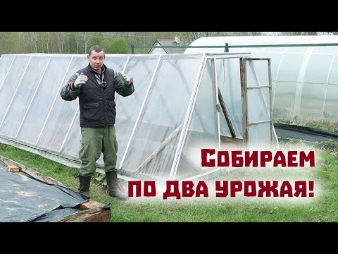 Видео: Жалеем ли мы , что поменяли поликарбонат на пленку на теплице?