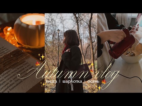 Видео: книжный влог | мрачное фэнтези, шарлотка и «все мы терпилы»