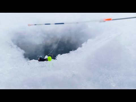 Видео: ТОЛЬКО СЕЛ на ЛУНКУ как КИВОК ЗАГНУЛО! Рыбалка на безмотылку, зимой 2023