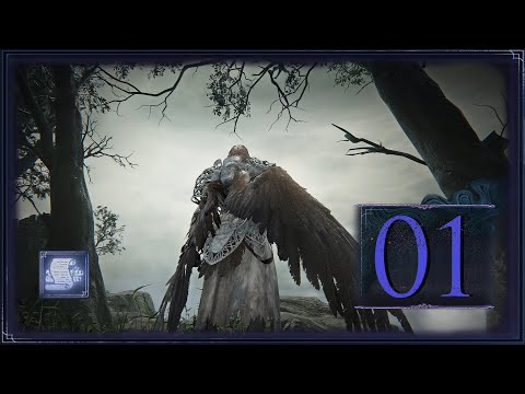 Видео: Elden Ring Nightreign - Я, проклятое крыло и щит [01]