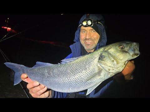 Видео: 3 РАЗНЫХ ЗНАКА И ОДИН ОГРОМНЫЙ ОКУНЬ НА ПОЛУОСТРОВЕ ЛЛИН | ЛОВЛЯ ОКУНЯ В СЕВЕРНОМ УЭЛЬСЕ | НОВЫЙ ...
