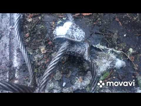 Видео: Чокеровка и трелевка леса. ТдТ-55.