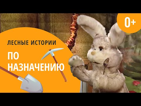 Видео: По назначению. Лесные истории (0+)