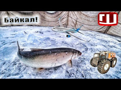 Видео: 700КМ на ВЕЗДЕХОДАХ по БАЙКАЛУ! Ловим СИГА! Юрты, погрузка, УШЛИ НА ВТОРОЙ КРУГ!