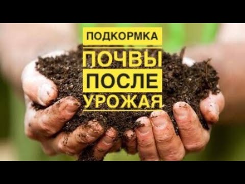 Видео: Cупер восстановление почвы после сбора урожая