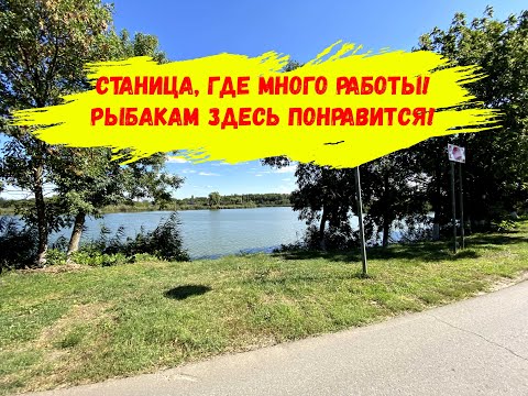 Видео: Станица, где много работы и рыбалки. Станица Нововеличковская: недвижимость, сады, школы, больницы