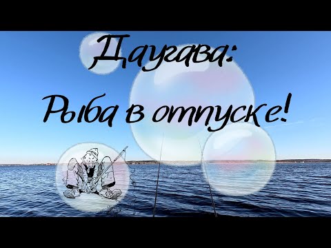 Видео: Рыбалка на Даугаве:Рыбы нет,зато холод бесплатный!