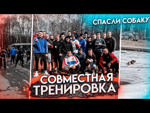 Видео: Тренировка с подписчиками.Боксеры спасли собаку.