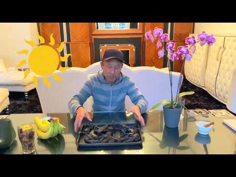 Видео: Банан пўстлоғидан гуллар учун энг зўр озуқа👍