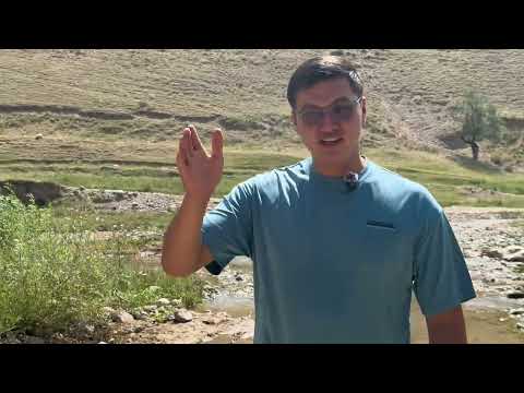 Видео: 6 июля 2025 г.