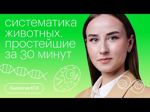 Видео: Систематика животных. Простейшие за 30 минут | Биология с Альбиной Амировой