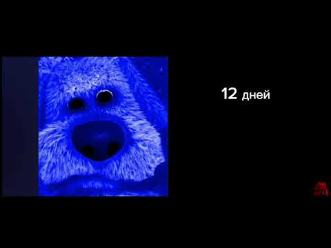 Видео: До конца лета осталось: (грустные лица бена)