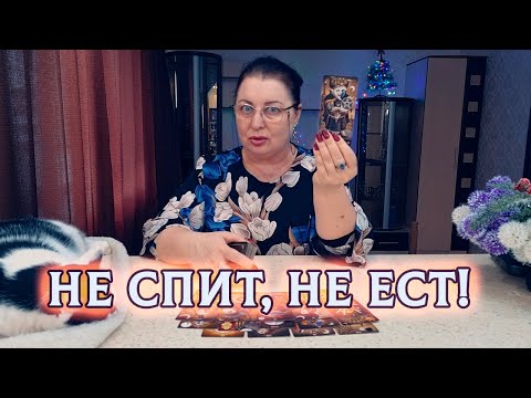 Видео: НЕ СПИТ, НЕ ЕСТ! ЕГО НАВЯЗЧИВАЯ МЫСЛЬ О ВАС НЕ ДАЕТ ПОКОЯ