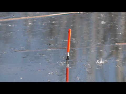 Видео: В поисках клевой рыбалки и осенняя рыбалка