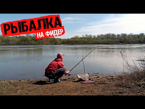 Видео: Рыбалка на фидер р.Белая г.Уфа ловим плотву, леща и т.д - Картошка на Костре