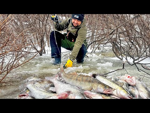 Видео: СУДАК НА ДЕРГАЛКУ на МАЛОЙ РЕКЕ. РЫБАЛКА МЕЧТЫ.