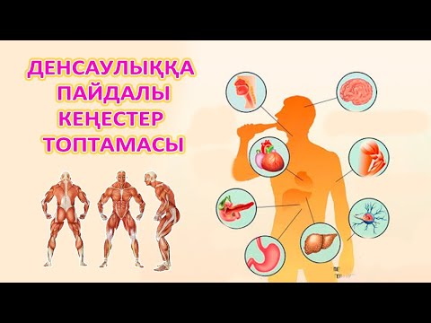 Видео: ТЕЗ КӨРІҢІЗ!!! 12 мүшеңнің сау болуы өз қолыңда. ДЕНСАУЛЫҚҚА ПАЙДАЛЫ КЕҢЕСТЕР ТОПТАМАСЫ