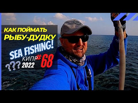Видео: Как поймать Рыбу-дудку. Ловлю с берега в Средиземном море 🔥 Рыбалка на Кипре 🇨🇾 Часть 68 Сезон 2022