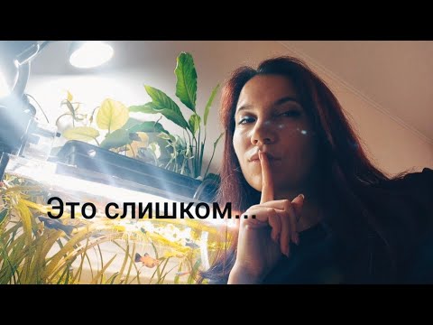 Видео: 10 супер лайфхаков для бюджетного аквариума!