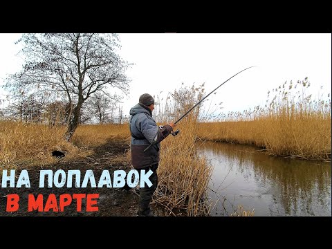 Видео: ПЕРВАЯ РЫБАЛКА НА ПОПЛАВОК В МАРТЕ. ВОТ ЭТО КЛЕВ ХОРОШЕЙ ПЛОТВЫ!