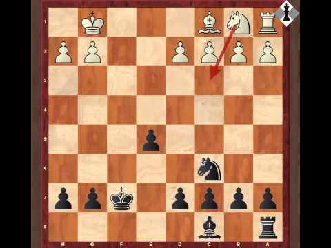 Видео: Защита 2-ух коней. 2 часть (для 2-3 разряда)