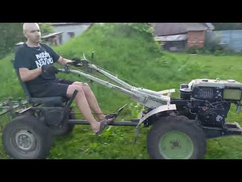 Видео: Сею фацелию на сидерат