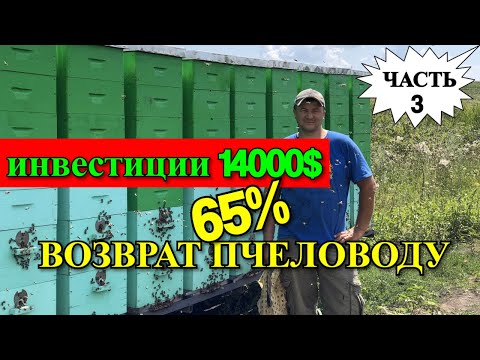 Видео: ИНВЕСТИЦИИ И ВОЗВРАТ ДЕНЕГ ПЧЕЛОВОДУ/На пасеке Андрея Бодяна 2019