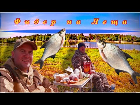 Видео: #рыбалка на #фидер  / #Лещ   /  Рыбалка на #ангара