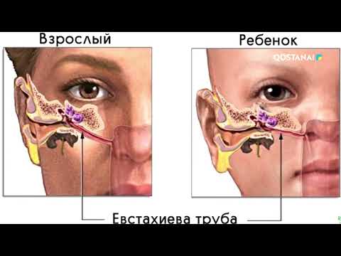 Видео: Вакцина — лучшая защита | «36,6»