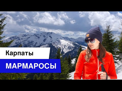 Видео: МАРМАРОСЫ | Баня в горах | Карпаты с собакой