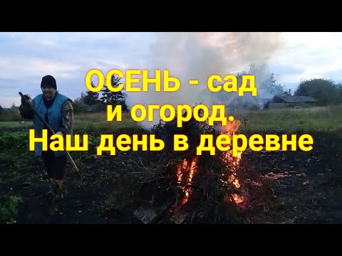 Видео: ЖИВЁМ в ДЕРЕВНЕ , Осень - Сад и огород , Готовим еду  -  Обед , ужин за деревенским столом