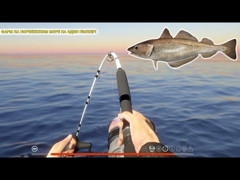 Видео: ФАРМ НА НОРВЕЖСКОМ МОРЕ НА ОДИН ПИЛКЕР! НАКОНЕЦ-ТО ИСПЫТАЛ НЕМНОГО УСИЛИЯ!